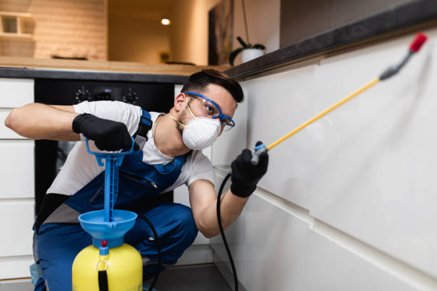 Best Residential Pest Control  in Escobares, TX