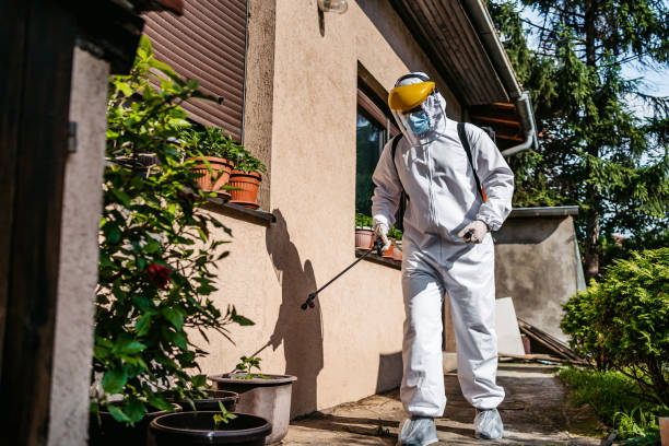 Reliable Escobares, TX Pest Control Solutions
