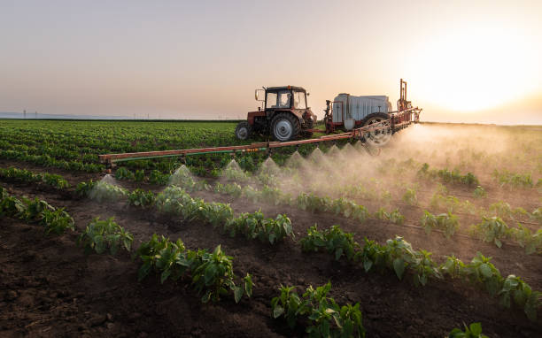 Best Pest Removal Services  in Escobares, TX
