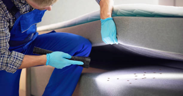 Best Termite Control Services  in Escobares, TX