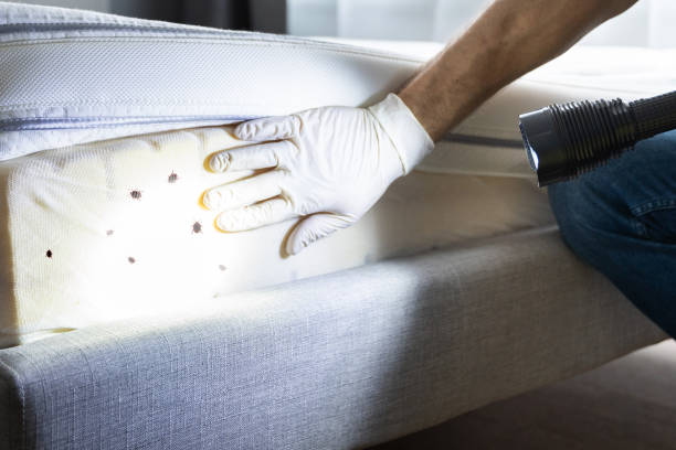Best Best Pest Control Companies  in Escobares, TX