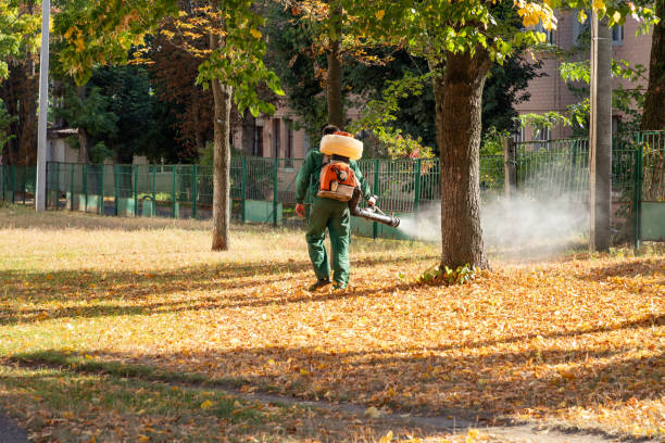 Best Best Pest Control Companies  in Escobares, TX