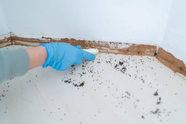 Best Pest Control for Businesses  in Escobares, TX