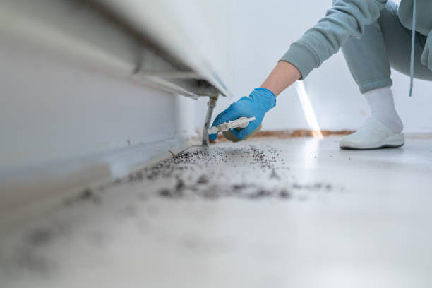 Best Pest Control for Homes  in Escobares, TX