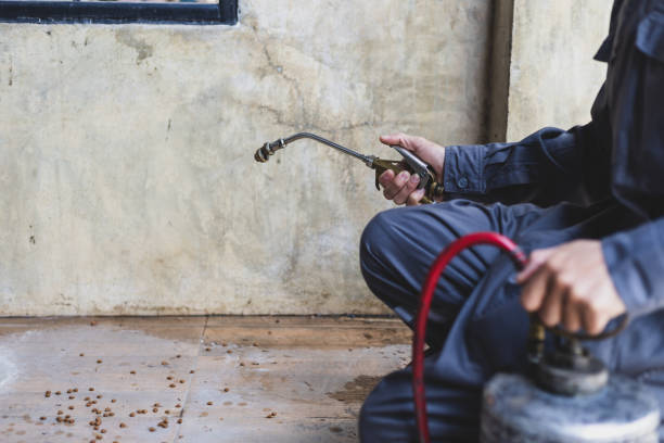 Pest Control for Restaurants in Escobares, TX